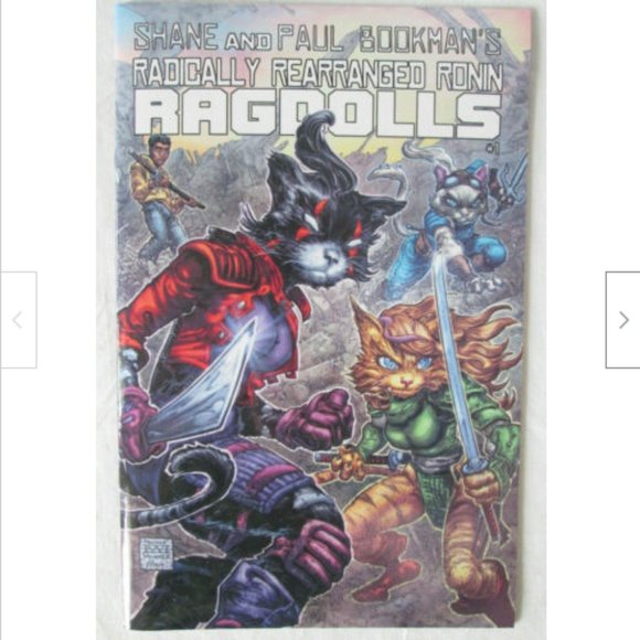 Radically Rearranged Ronin Ragdolls #1 Comic Cover D Williams Dalhouse TMNT 2019 - Picture 1 of 2